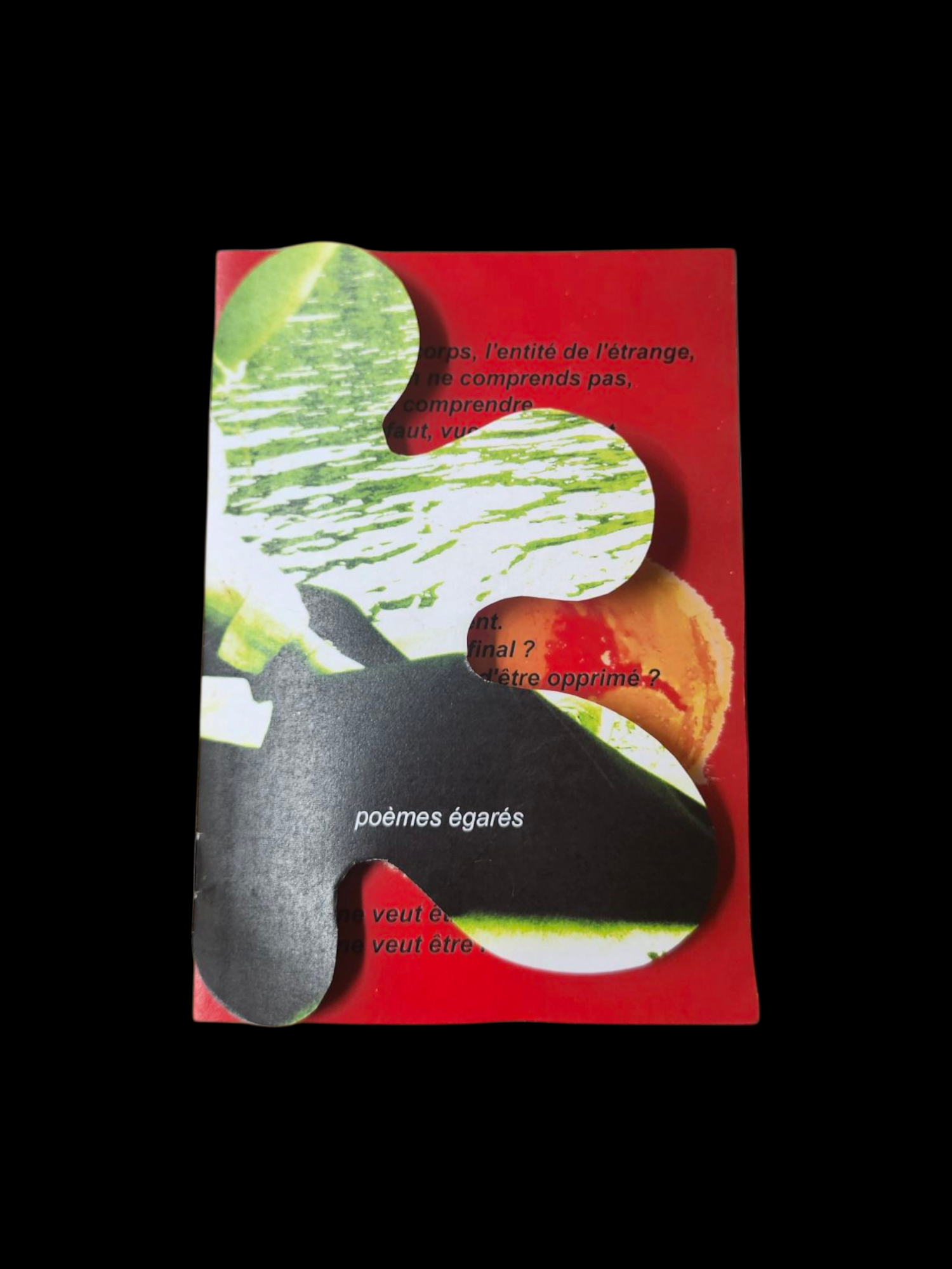 Page de mon fanzine 'Poemes egares'