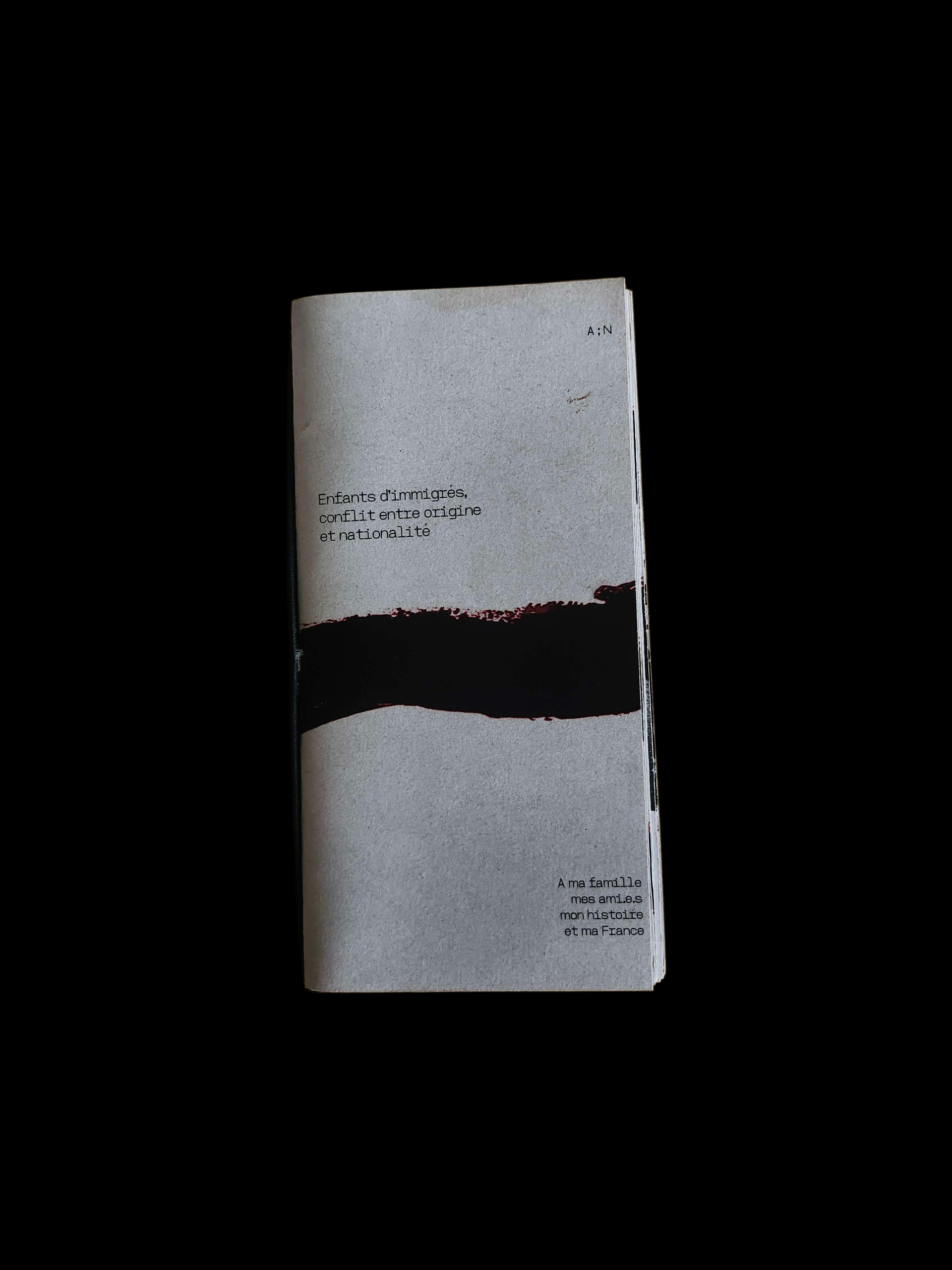 Projet de fanzine sur le sujet de notre choix. Je suis partie sur une remise en valeurs de l'immigration en partant sur l'axe des deuxième génération 'Enfants d'immigres conflit entre origine et nationalté'.